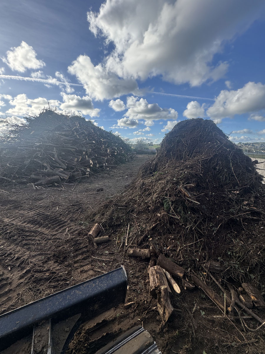 Elagage arbre Locquirec Lannion