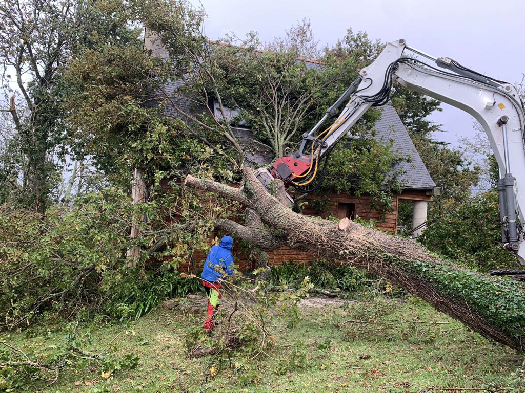 Travaux urgents d’abattage et d’évacuation d’arbres suite à la tempête Ciaran 