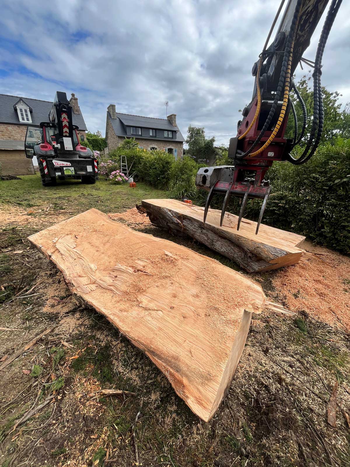 Abattage coupe arbre Lannion