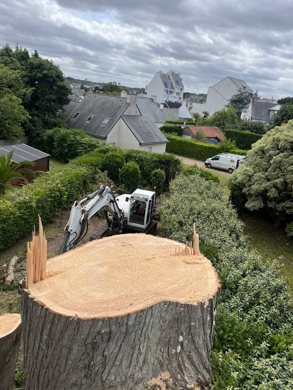 Coupe arbre Trégor