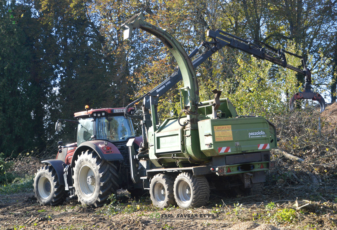 Travaux élagage arbre SAVEAN